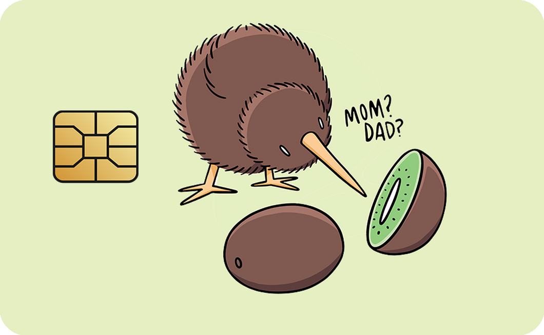 Kiwi Bird