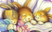 Load image into Gallery viewer, Sleeping Rabbit
