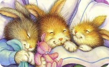 Load image into Gallery viewer, Sleeping Rabbit
